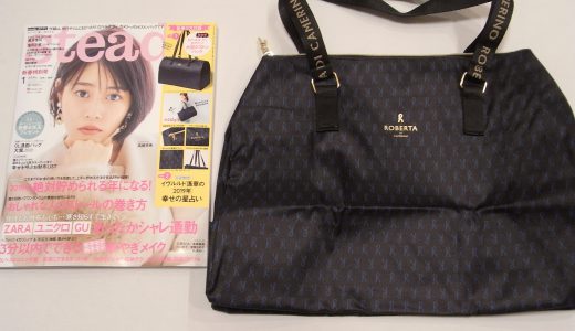 【購入レビュー】steade.(ステディ)1月号 ロベルタ・ディ・カメリーノの大容量ビッグボストン