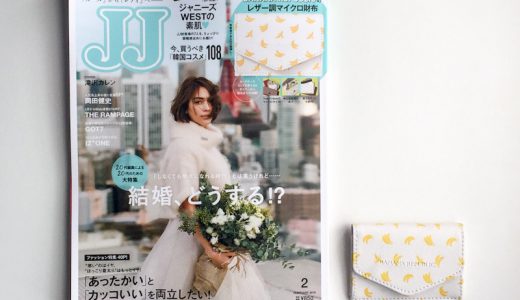 【購入レビュー】JJ(ジェイジェイ)2019年2月号《特別付録》バナナ・リパブリックのレザー調マイクロ財布