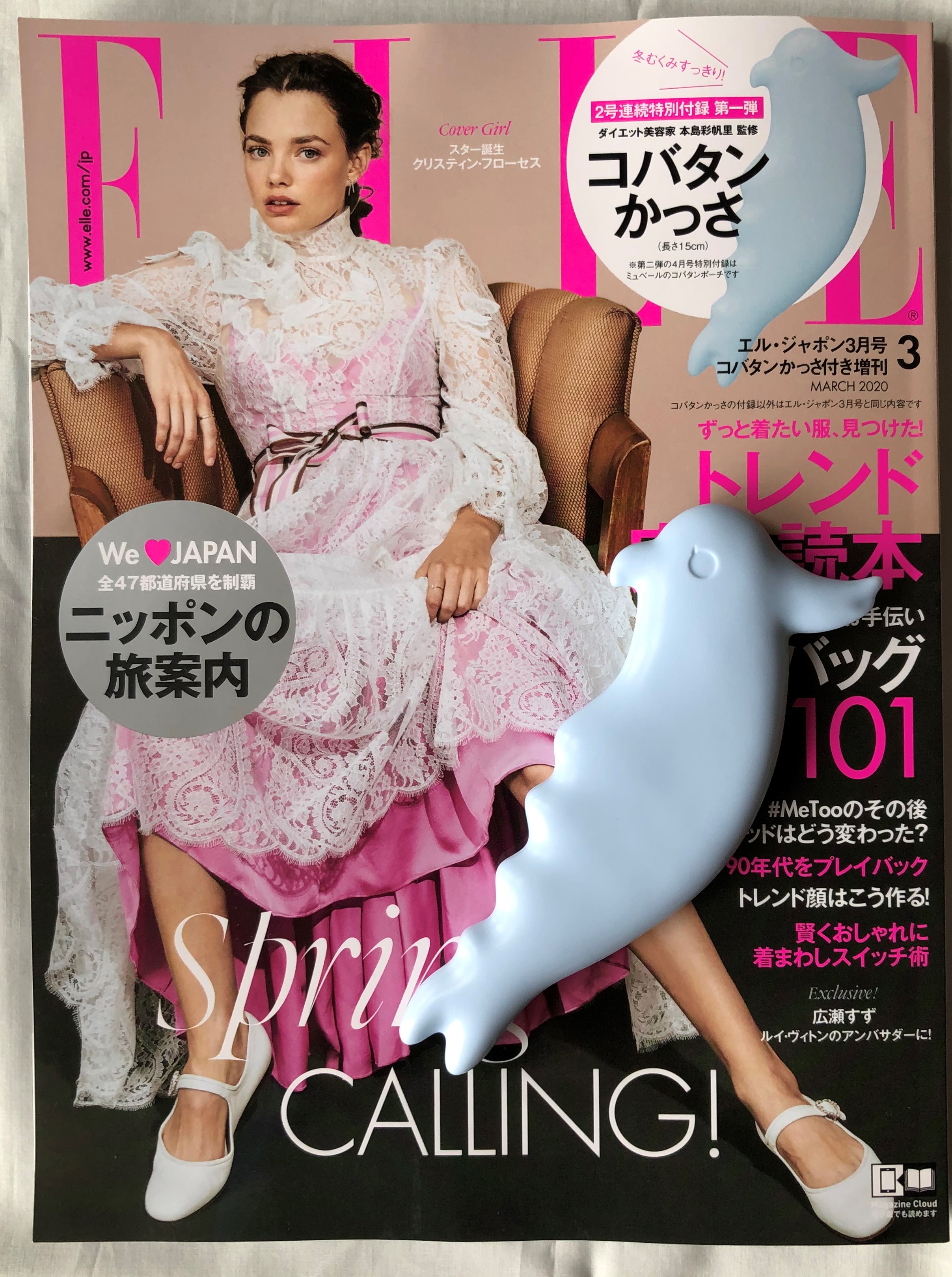 ELLE JAPON (エル・ジャポン)2020年 03月号増刊 ダイエット美容家 本島