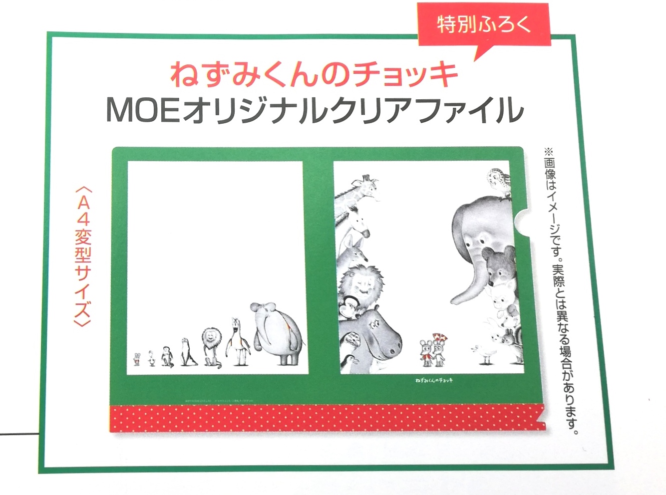 mooi mooi プロフも読んでね❣️ページ M☆プロフ必読 M♡プロフ必読 専用 m プロフ必読さま 専用 ZX｜ 카즈요