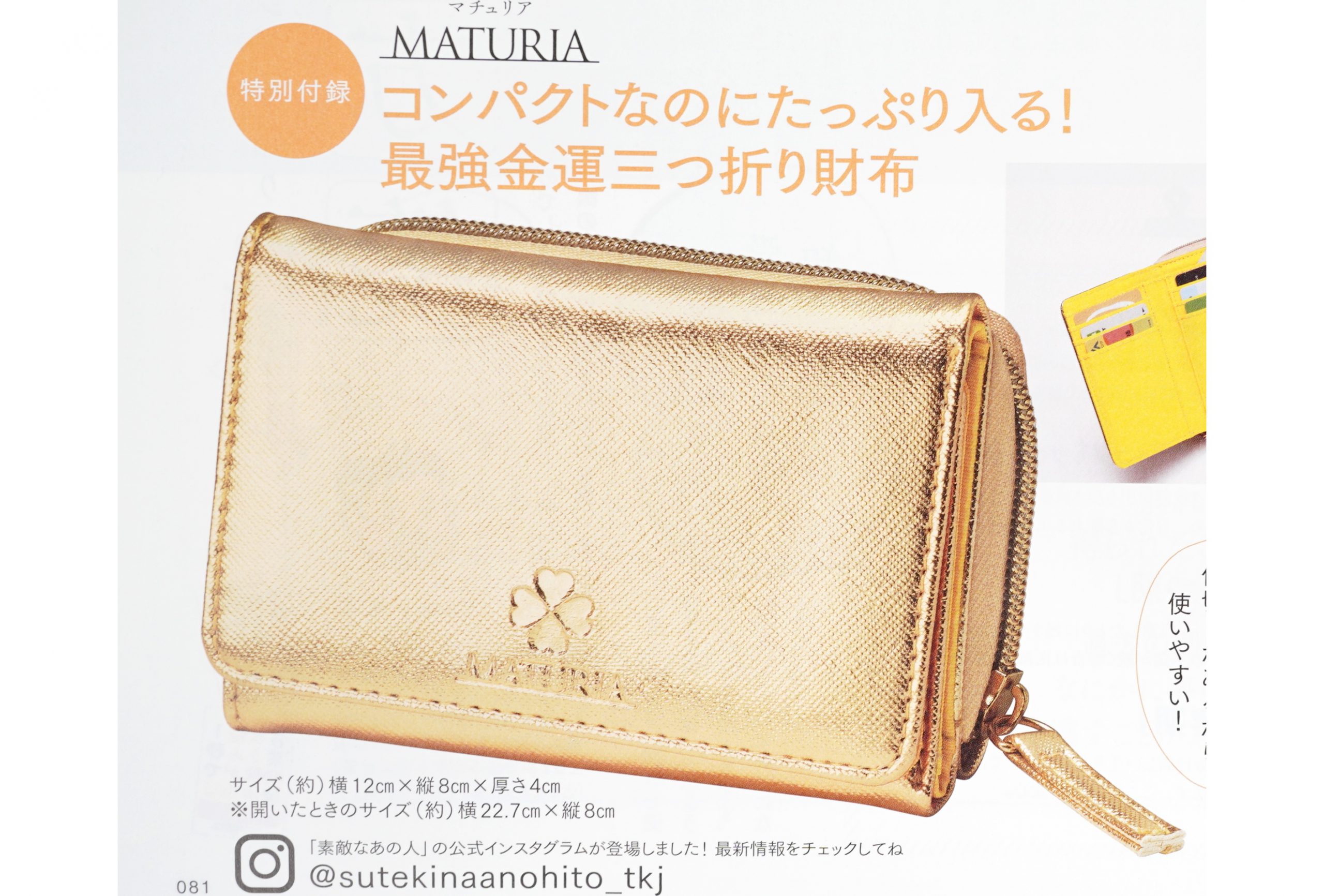 ゴーストコインプラピッター　女性精霊目隠し仏　守護　金運　財運 楽天市場】＼最大2000円OFFクーポン／ 金運 祈願 烏枢沙摩明王