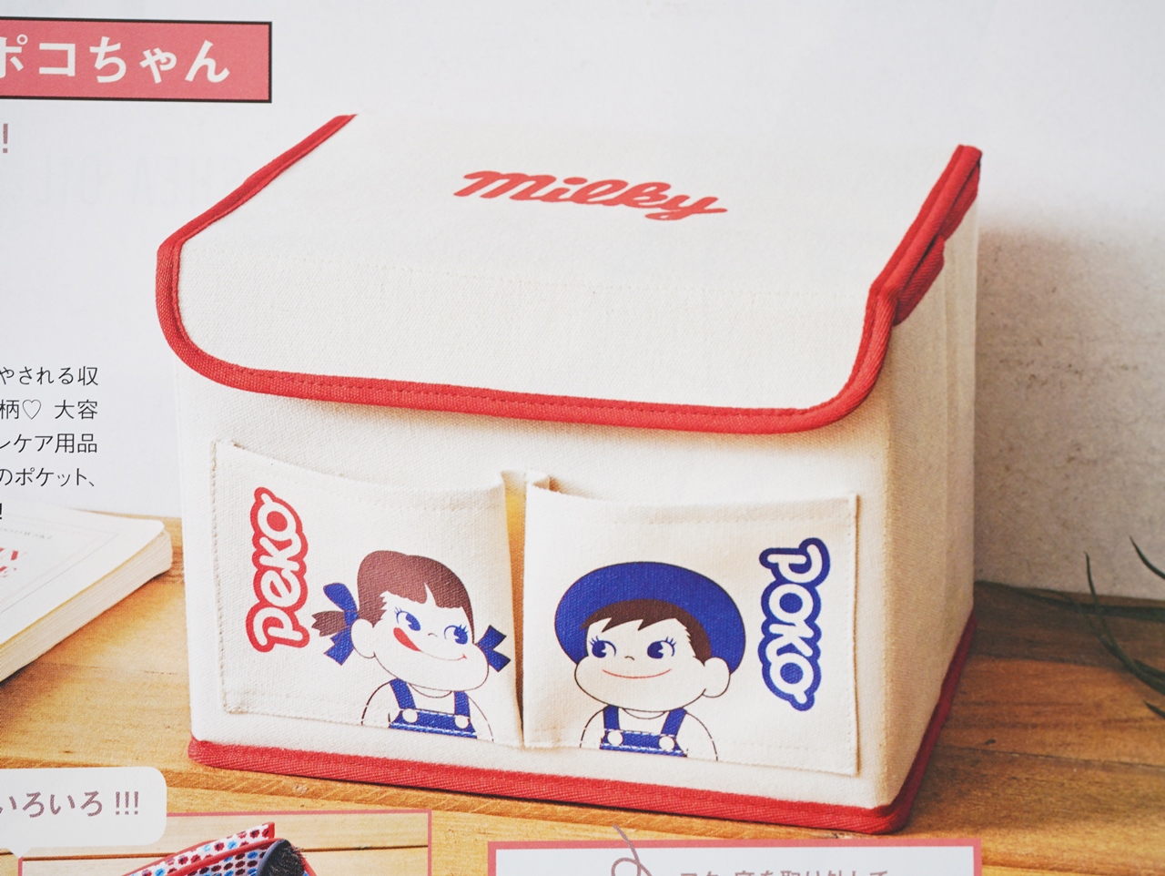 昭和なミーコちゃんBOX・B aaaDSC07236.jpg
