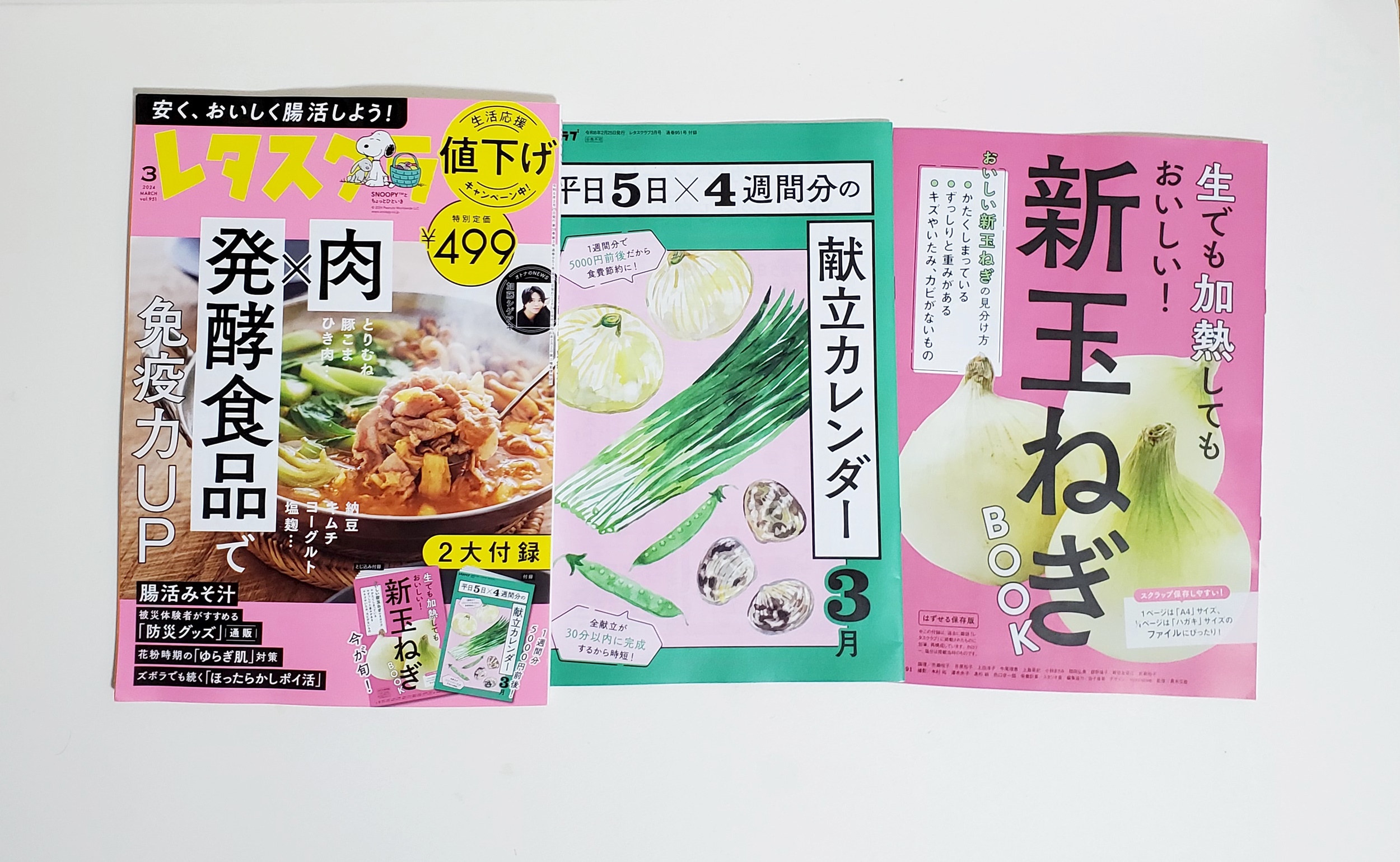開封レビュー】レタスクラブ 2024年3月号《特別付録》別冊付録