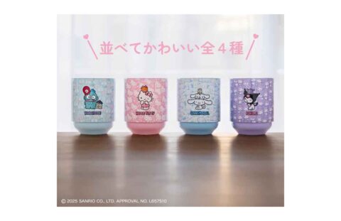 【ムック本紹介】重ねてらくらく収納！ ハローキティ、シナモロール、クロミ、ハンギョドン 真空断熱タンブラーBOOK