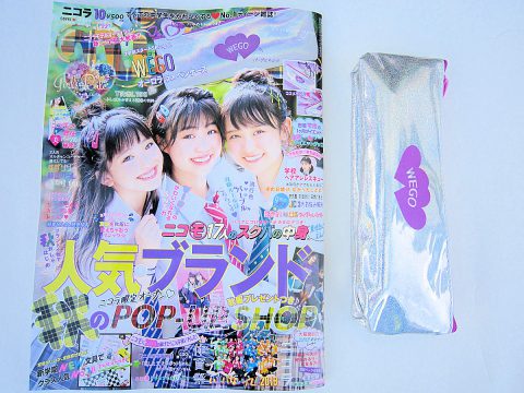 【購入レビュー】nicola (ニコラ) 10月号 付録 WEGOオーロラ ラメ ペンケース