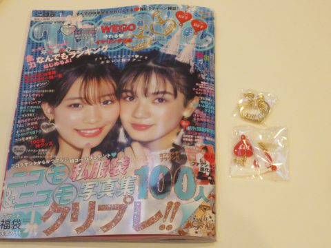 【購入レビュー】nicola(ニコラ) 2019年 1 月号【付録】WEGO（ウィゴー）ゆれる大人イヤリング２点セット