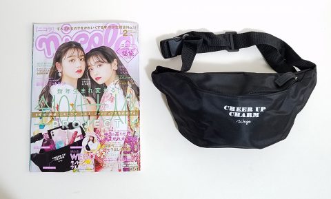 【開封レビュー】 nicola (ニコラ)2021年2月号≪特別付録≫WEGO モノトーンウエストポーチ