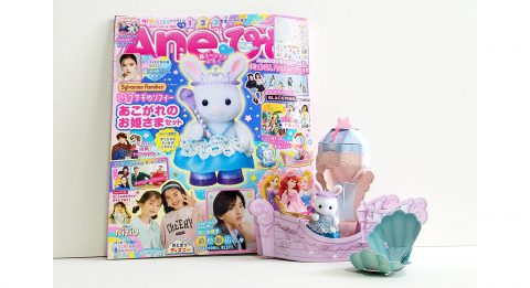 【開封レビュー】Aneひめ Vol.12《特別付録》しろうさぎのソフィーあこがれのお姫さまセット