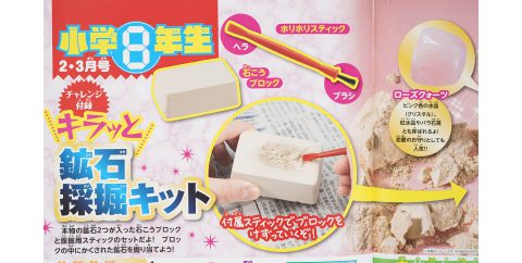 【次号予告】小学8年生 2023年2・3月号《特別付録》キラっと鉱石採掘キット